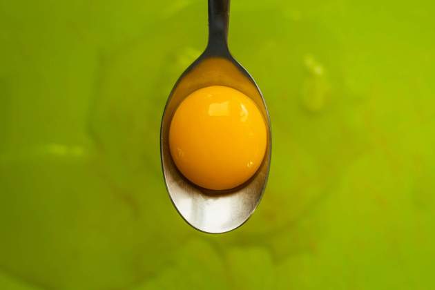 Rovell d'ou / Foto: Unsplash