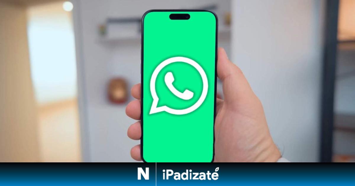 WhatsApp Plus: así es la suscripción que está preparando la app y las mejoras que añadirá