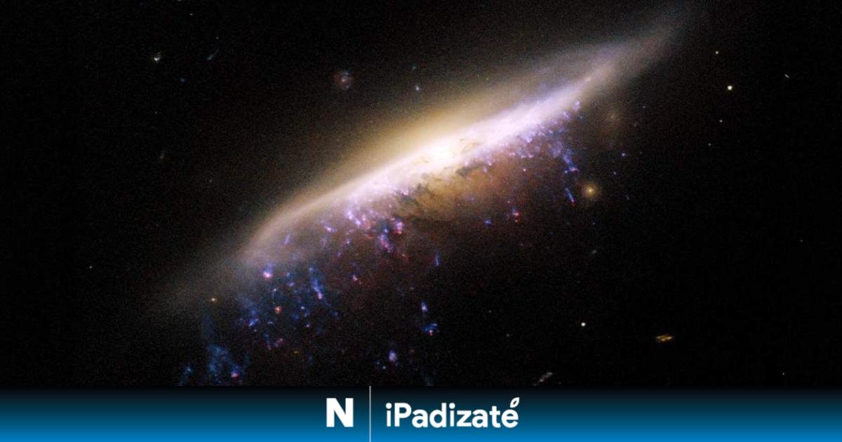 Así es la perturbadora nueva galaxia con tentáculos descubierta por el telescopio James Webb