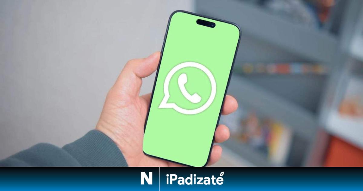 Actualización de WhatsApp: todas las novedades que llegaron en febrero de 2026