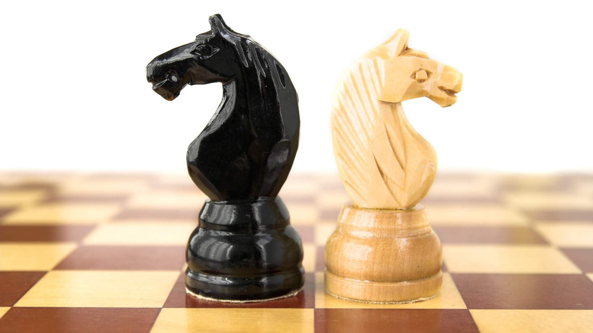 Duel, escacs / Canva