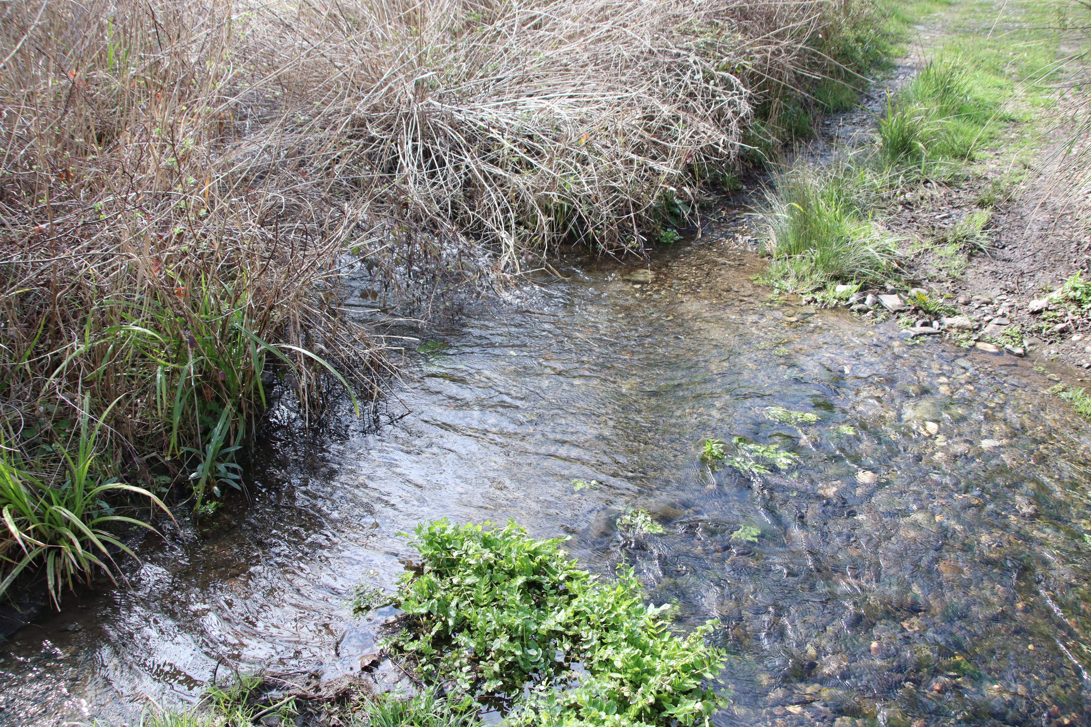 Dos ecologistes, a judici per una "acció simbòlica" al riu Siurana gairebé nou anys després