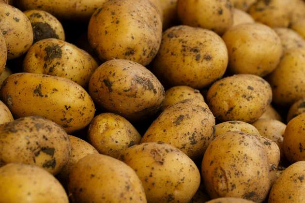 Consum de patates / Foto: Unsplash