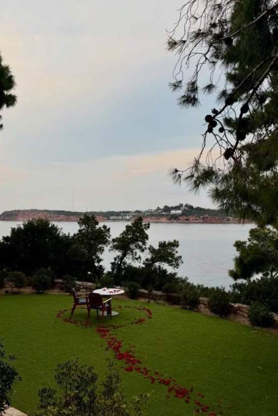 Matrimoni a la vista, felicitat màxima IGw2