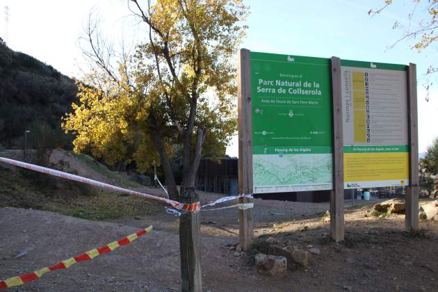 collserola pesta porcina restriccions porcs senglars acn 