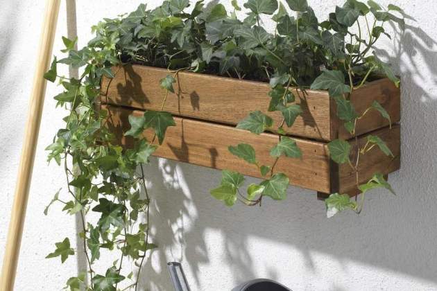 stjarnanis jardinera exterior acacia  1369968 pe958419 s5