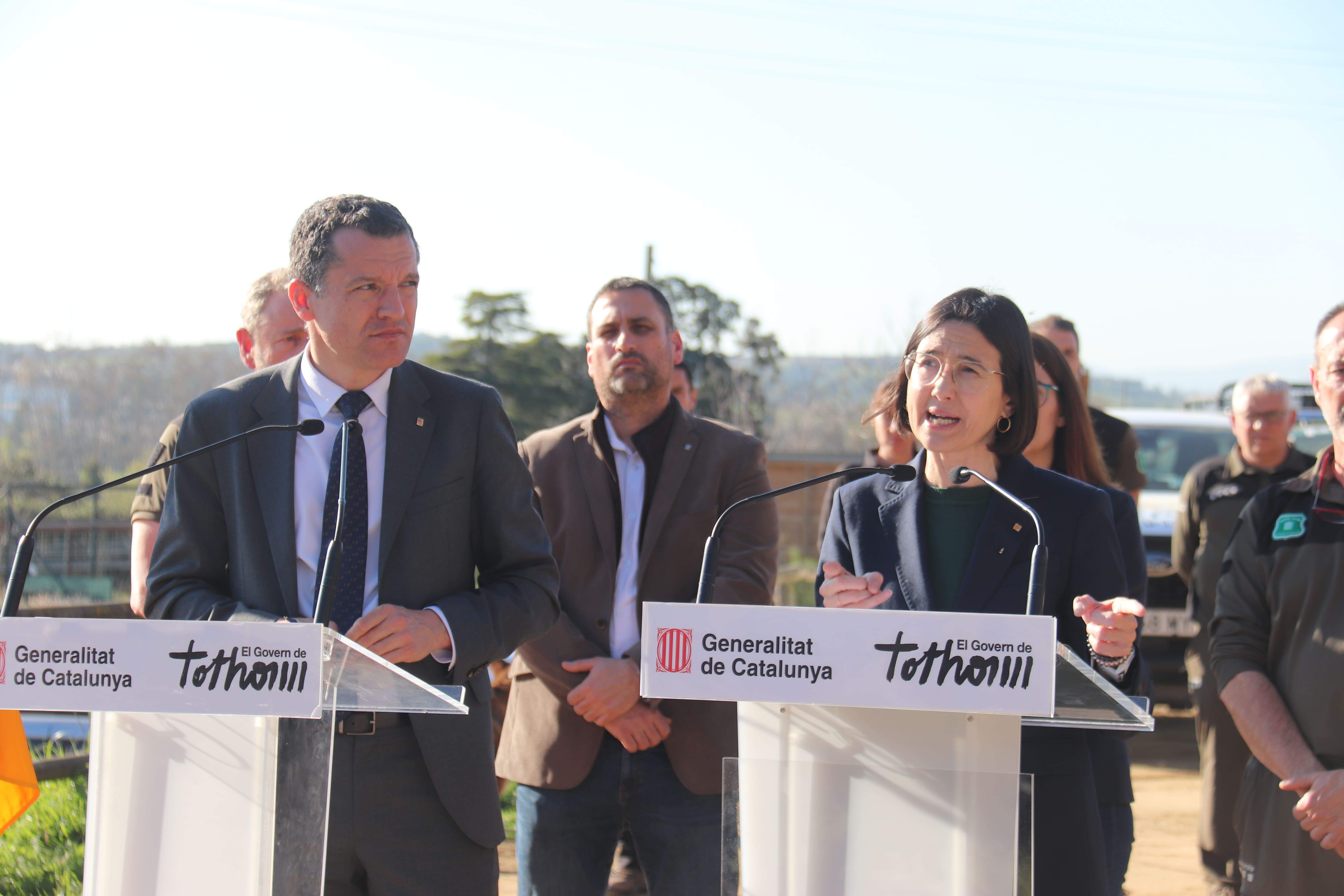 El Govern reforça l’operatiu contra la pesta porcina per erradicar els senglars