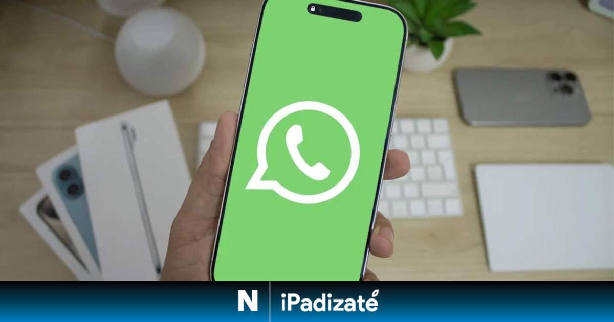 No caigas en el último timo de WhatsApp, nadie te va a dar dinero por hacer esto