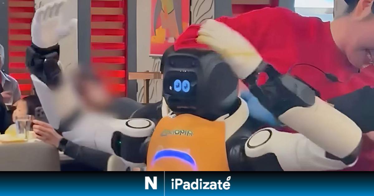 Hicieron falta tres personas para reducir a un robot que se volvió loco en una cafetería