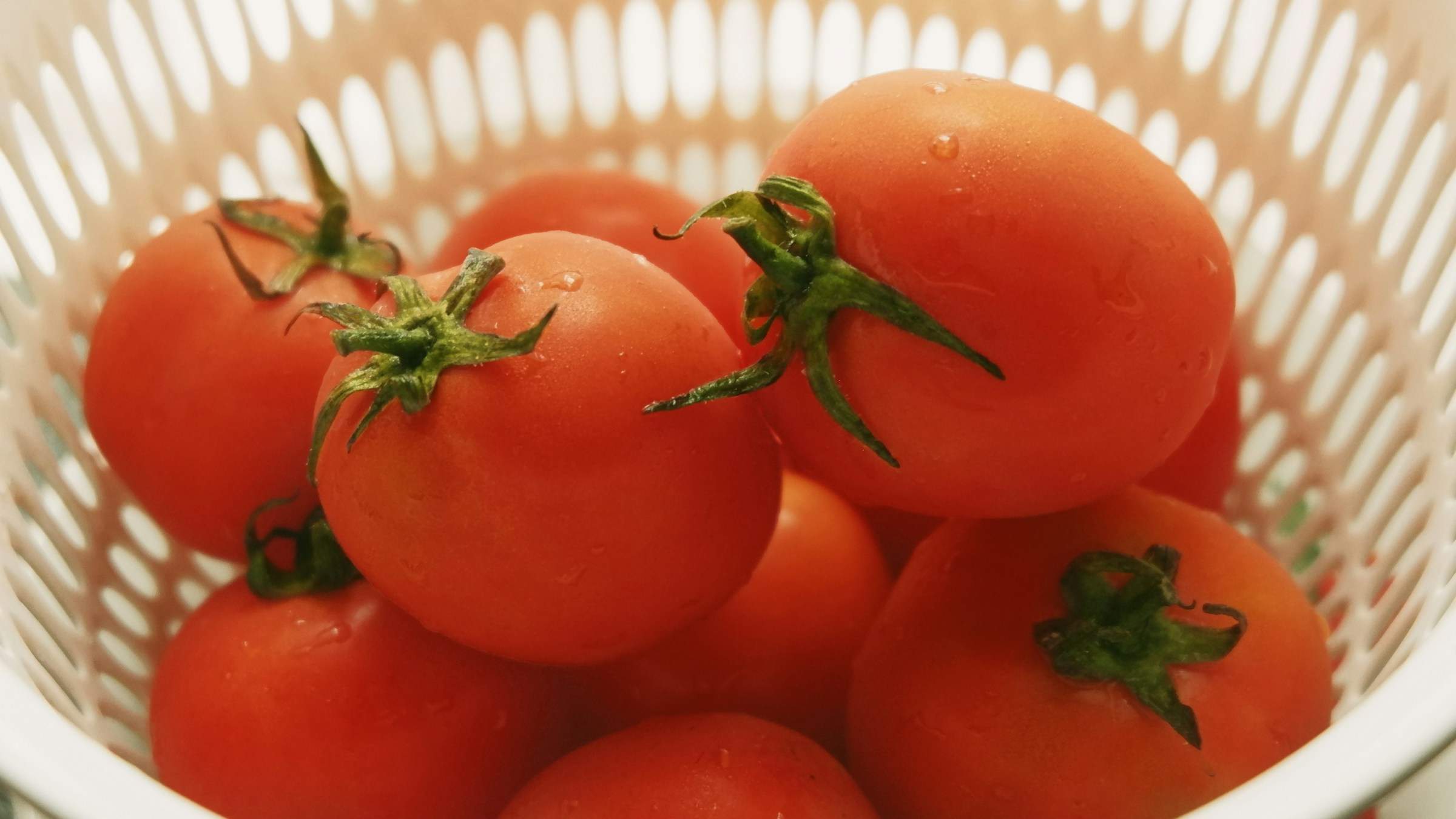 Els experts en seguretat alimentària demanen que no guardis mai un tomàquet a la nevera: “Es deixen penjats”