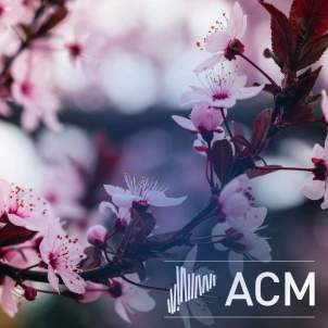 PORTADA FEM PAIS ACM   AGENDA MUNICIPIS