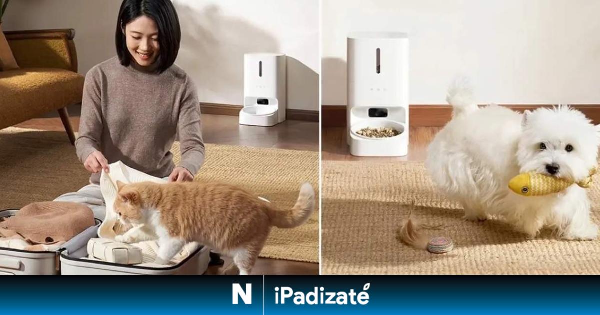 Así es el nuevo comedero de Xiaomi que reconoce a tus mascotas mediante IA