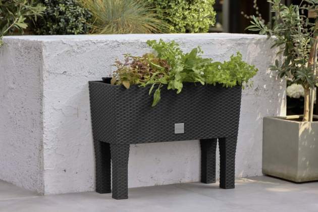 Captura de pantalla 2026 03 24 a les 17.25.11