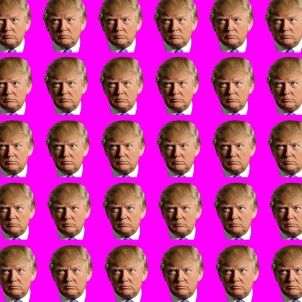 donald trump pixabay donald trump pixabay