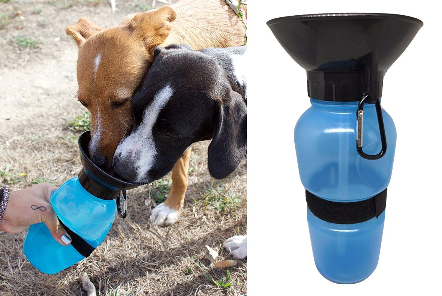 botella agua perro