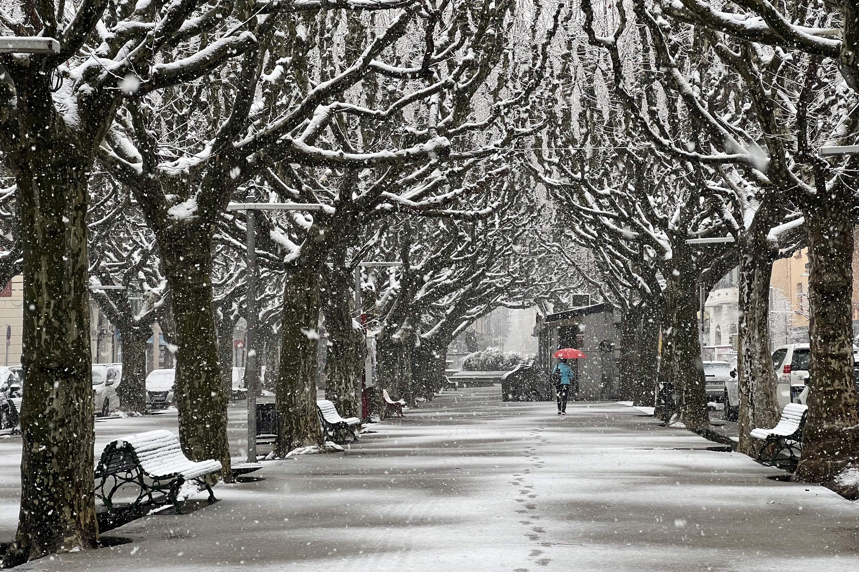 neu seu d urgell acn