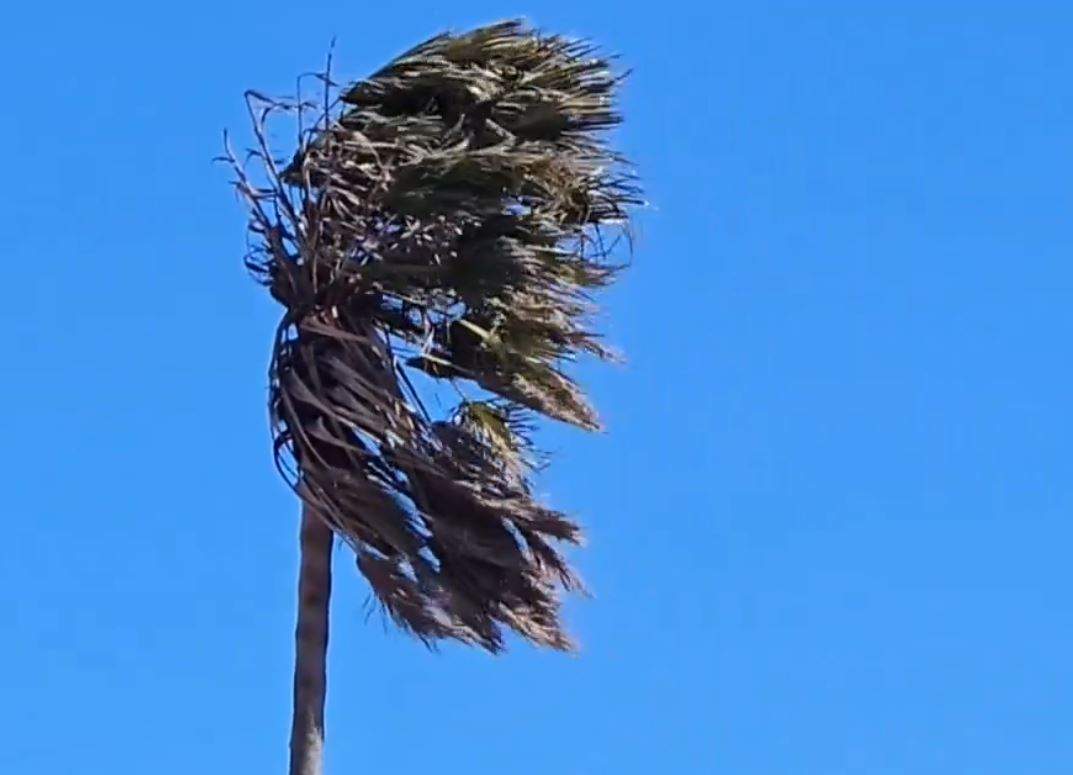 Un temporal arriba a Catalunya amb ventades intenses i nevades al Pirineu