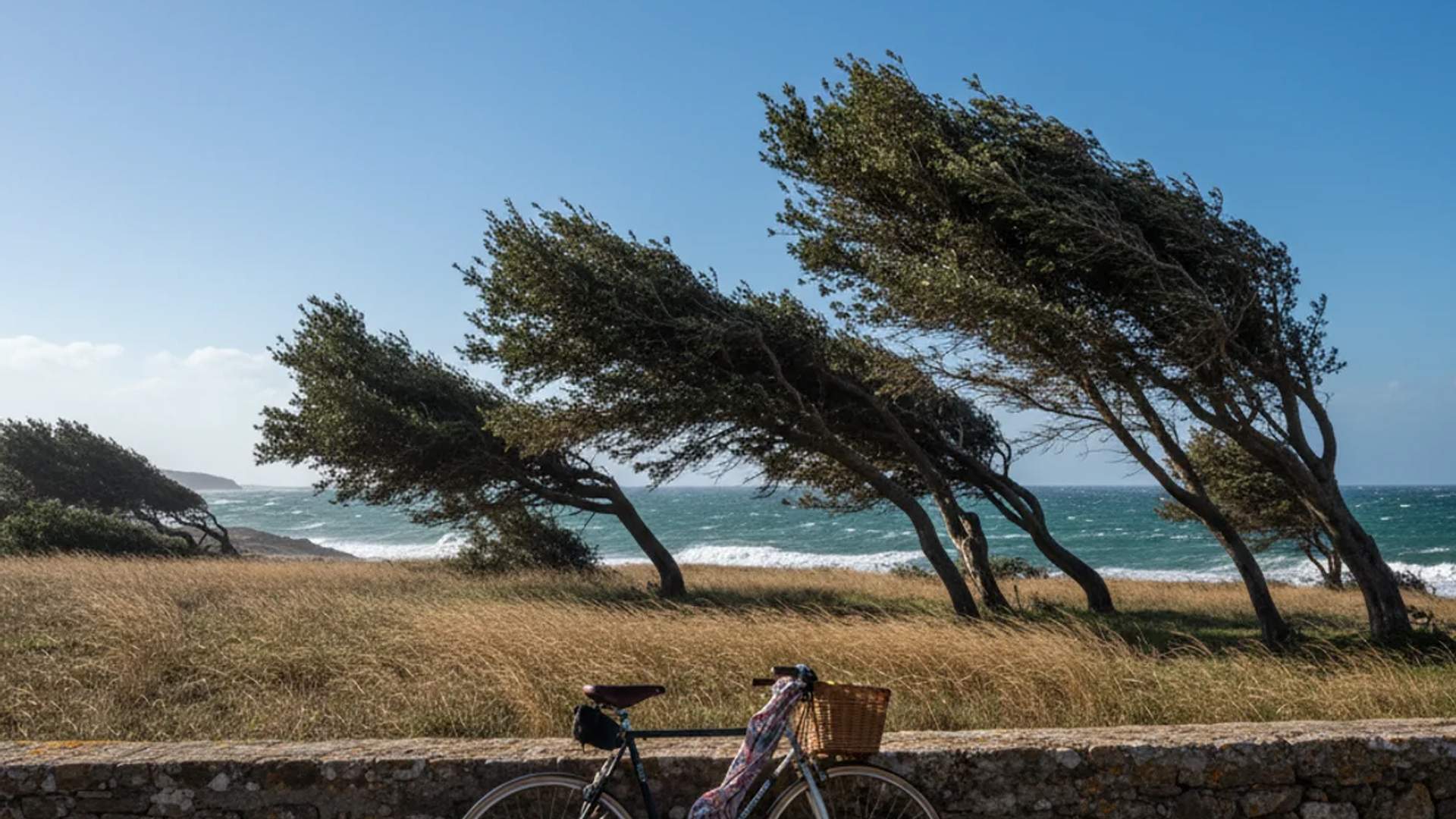 El temporal de vent es reactiva als dos extrems de Catalunya, venen mal dades