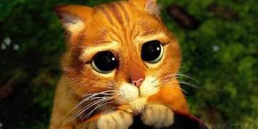 El Joan M. Pou con botas