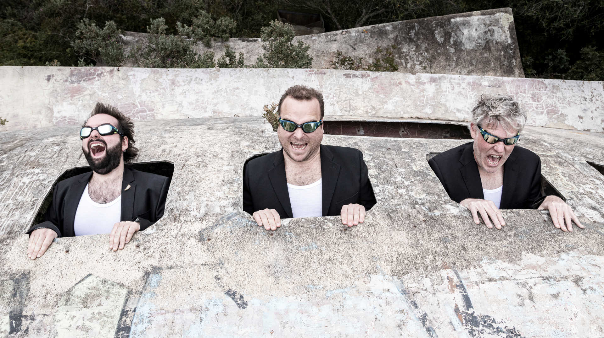 Geometrical Sardine, Last Flight Before Extinction