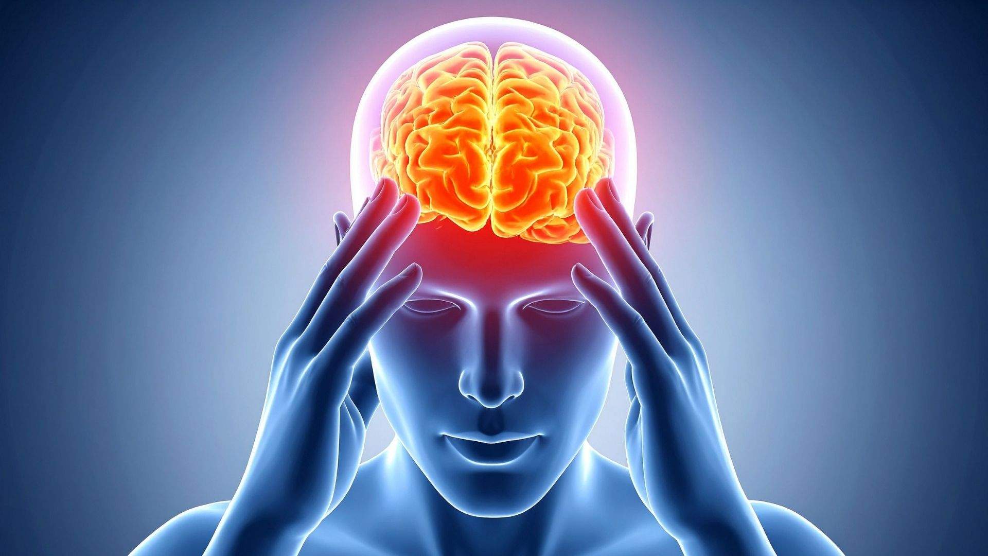 Observar ocells pot ajudar a endarrerir l'envelliment cerebral, segons la ciència