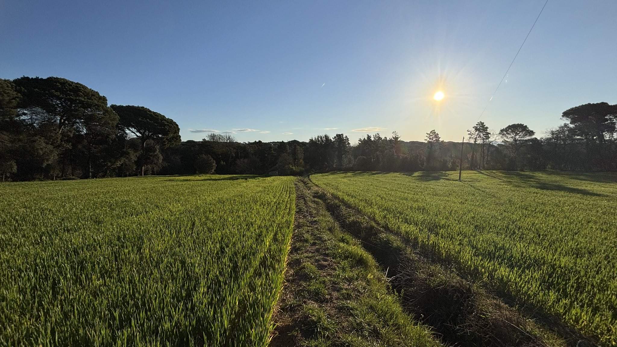 El anticiclón se apodera de Catalunya con una primera cata de calor durante el Domingo de Resurrección