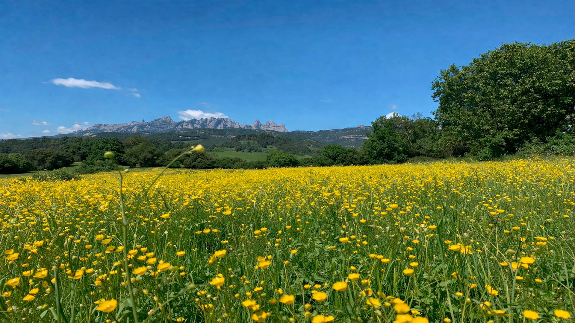 El abril romperá la racha de lluvias del 2026 en Catalunya con más calor que frío