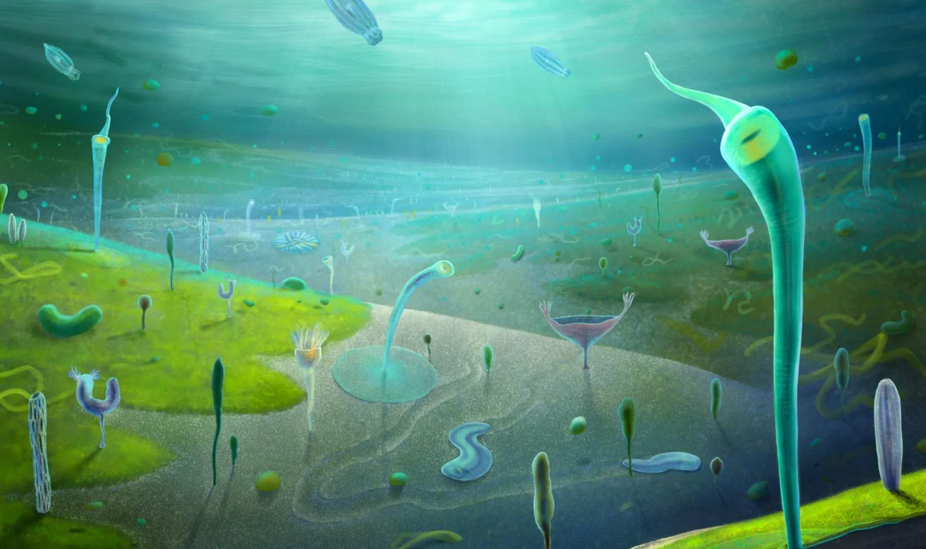 Científicos encuentran un auténtico “mundo perdido” de animales que aún no deberían existir