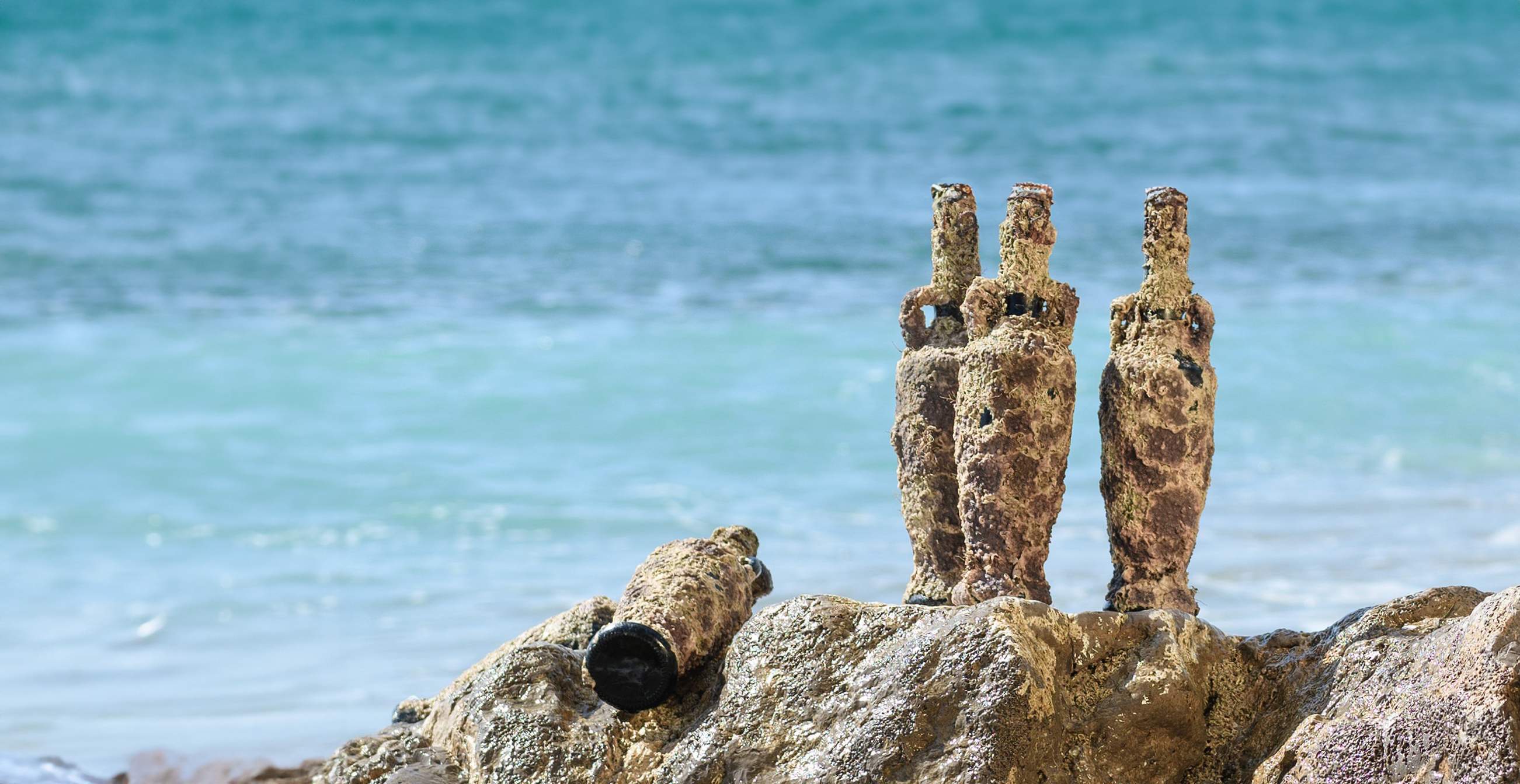 La Beer Nostrum incorpora ostres del Delta de l'Ebre (La Cervesera Artesana)