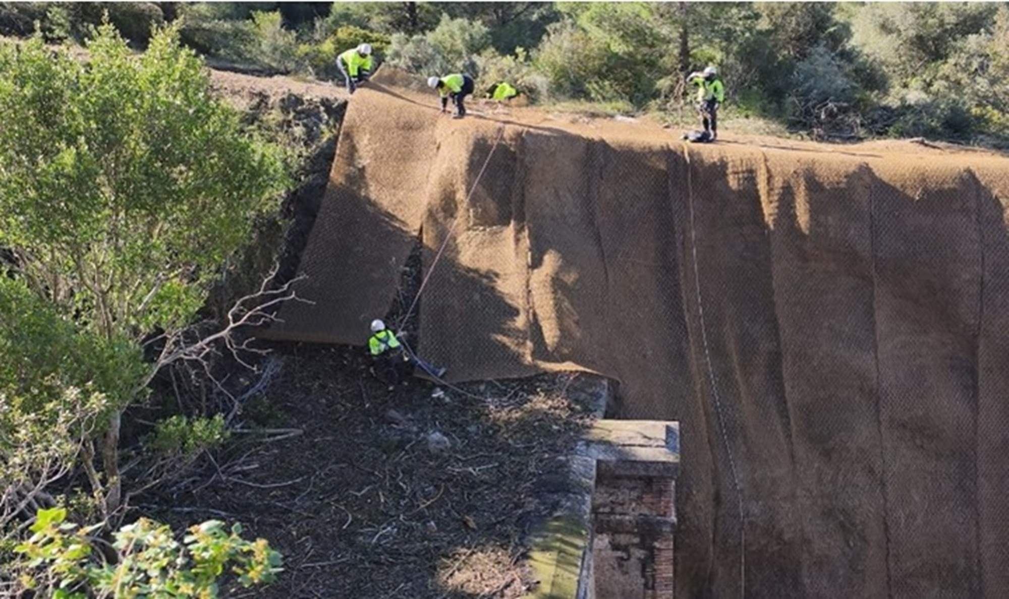 Les obres d’emergència a Rodalies obliguen a talar 13.680 arbres a Catalunya