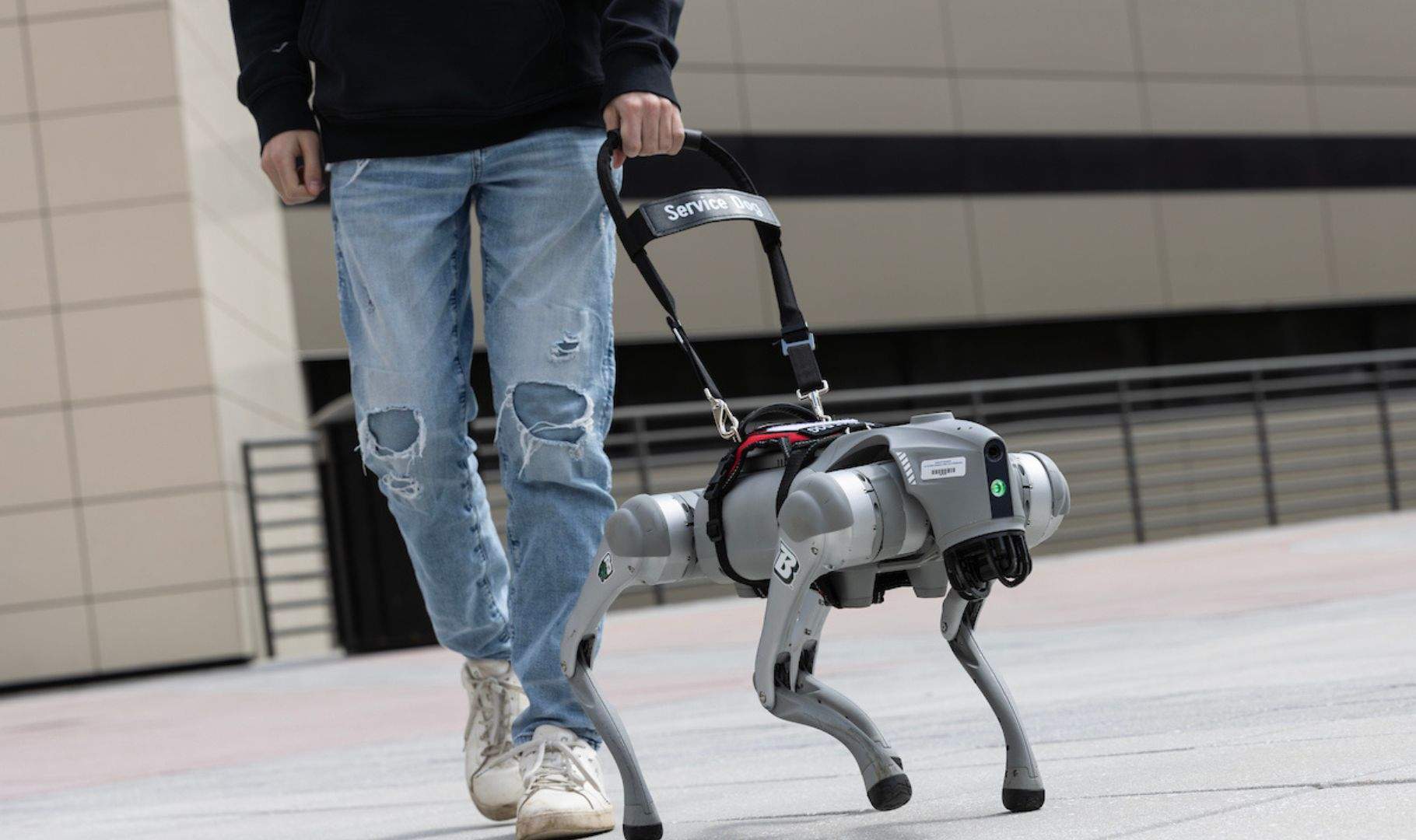 Aquest gos robot amb IA vol substituir els gossos guia oferint alguna cosa que aquests no poden