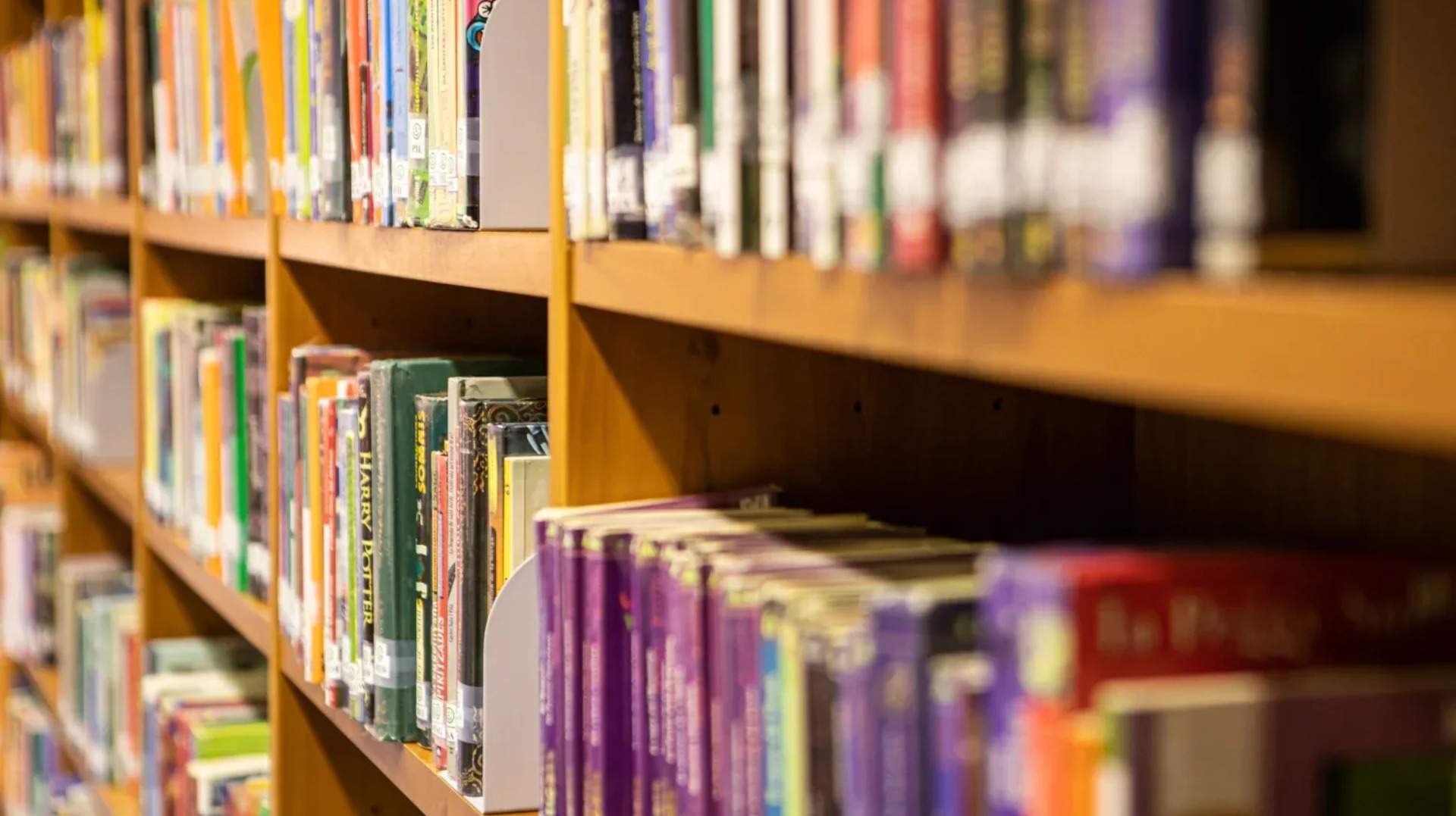 La lleixa de la dansa, Explica Dansa (Beatriu Daniel y Toni Jodar)