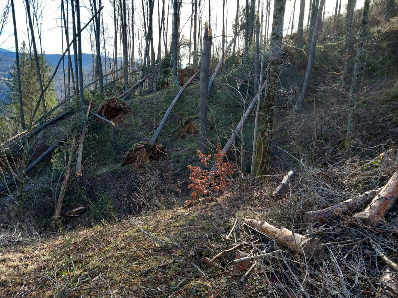 Catalunya, en avís taronja i groc per temporal marítim i de vent