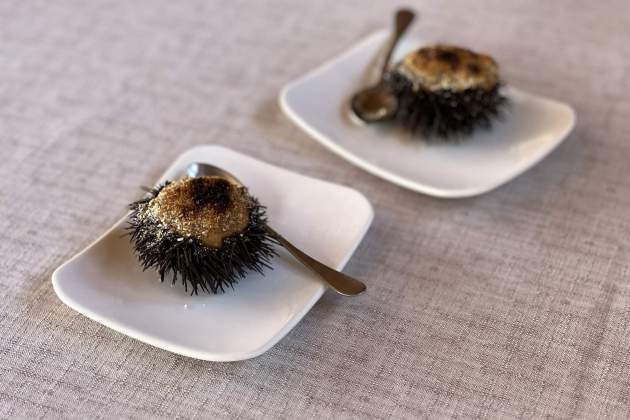 Erizos de mar del restaurante Ca la Maria. / Foto: Jordi Àvila Erizos de mar del restaurante Ca la Maria. / Foto: Jordi Àvila