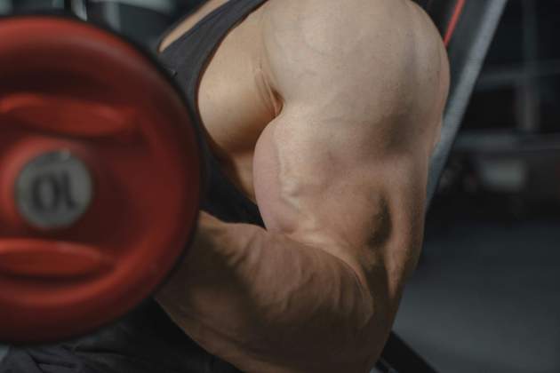 Biceps Curl. Foto: Pexels Biceps Curl. Foto: Pexels