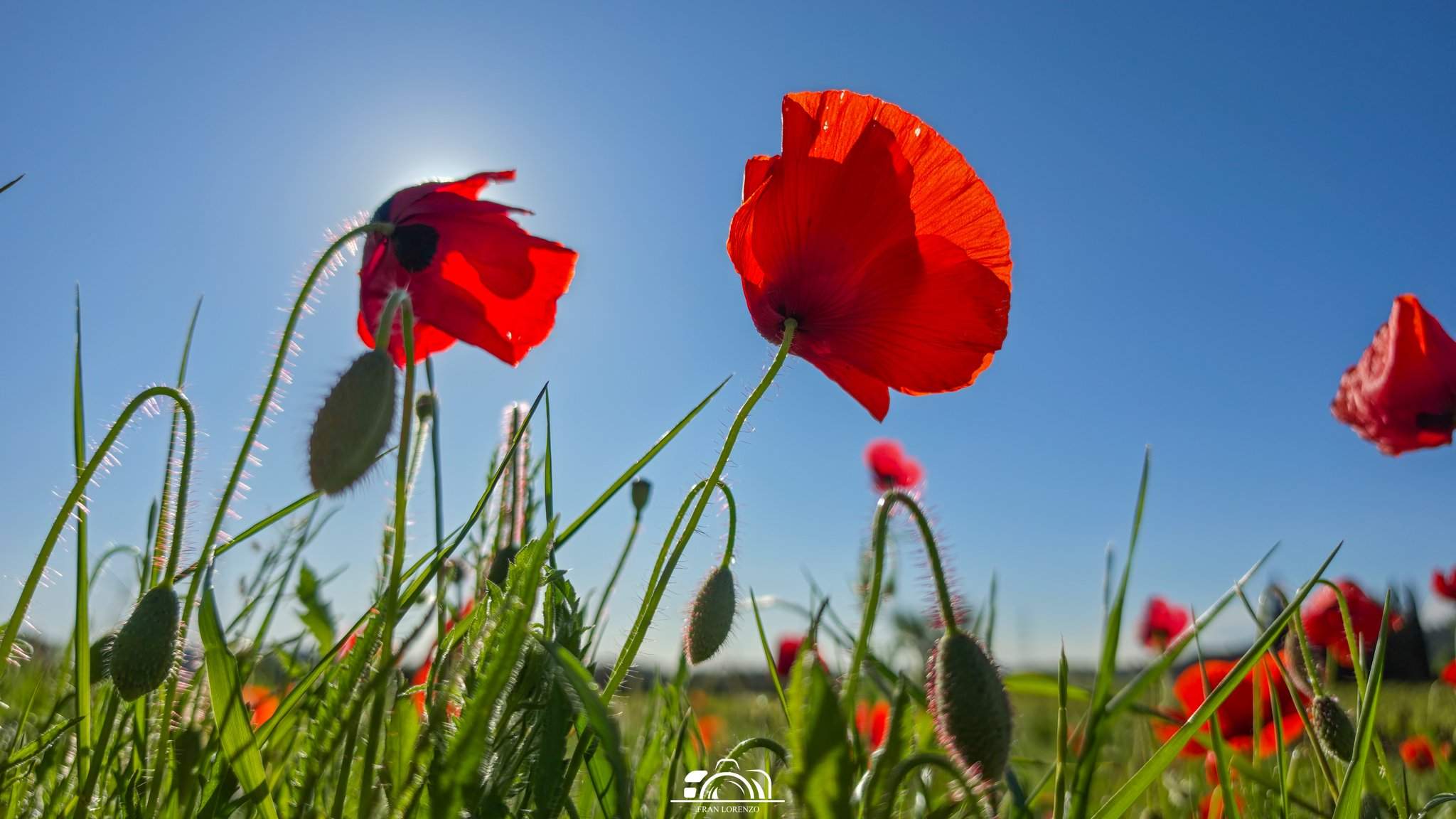 Adiós, invierno: temperaturas de lujo en Catalunya, preparad el cambio de armario
