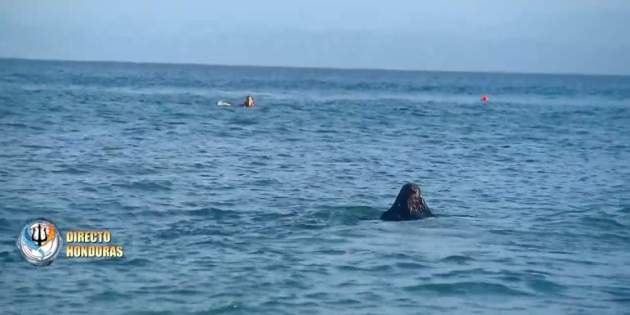 Alba Paúl se reencuentra con Dulceida / Mediaset Infinity