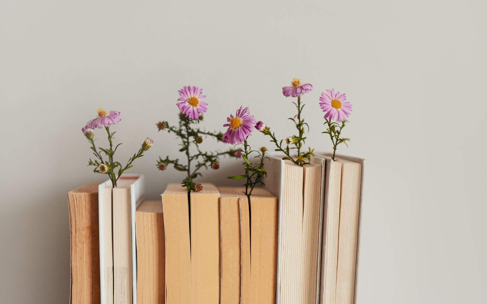 Puntos de libro para Sant Jordi 2026: cómo hacerlos y otras manualidades para regalar