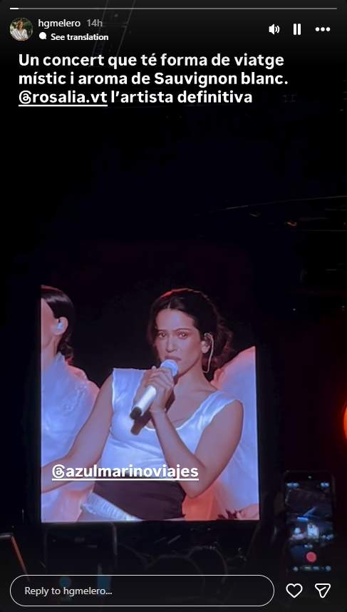 Helena Garcia Melero al concierto de Rosalía / Instagram