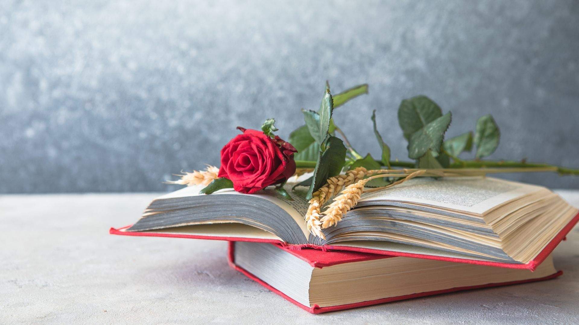 Bona diada de Sant Jordi 2026: imatges i postals per celebrar el 23 d'abril