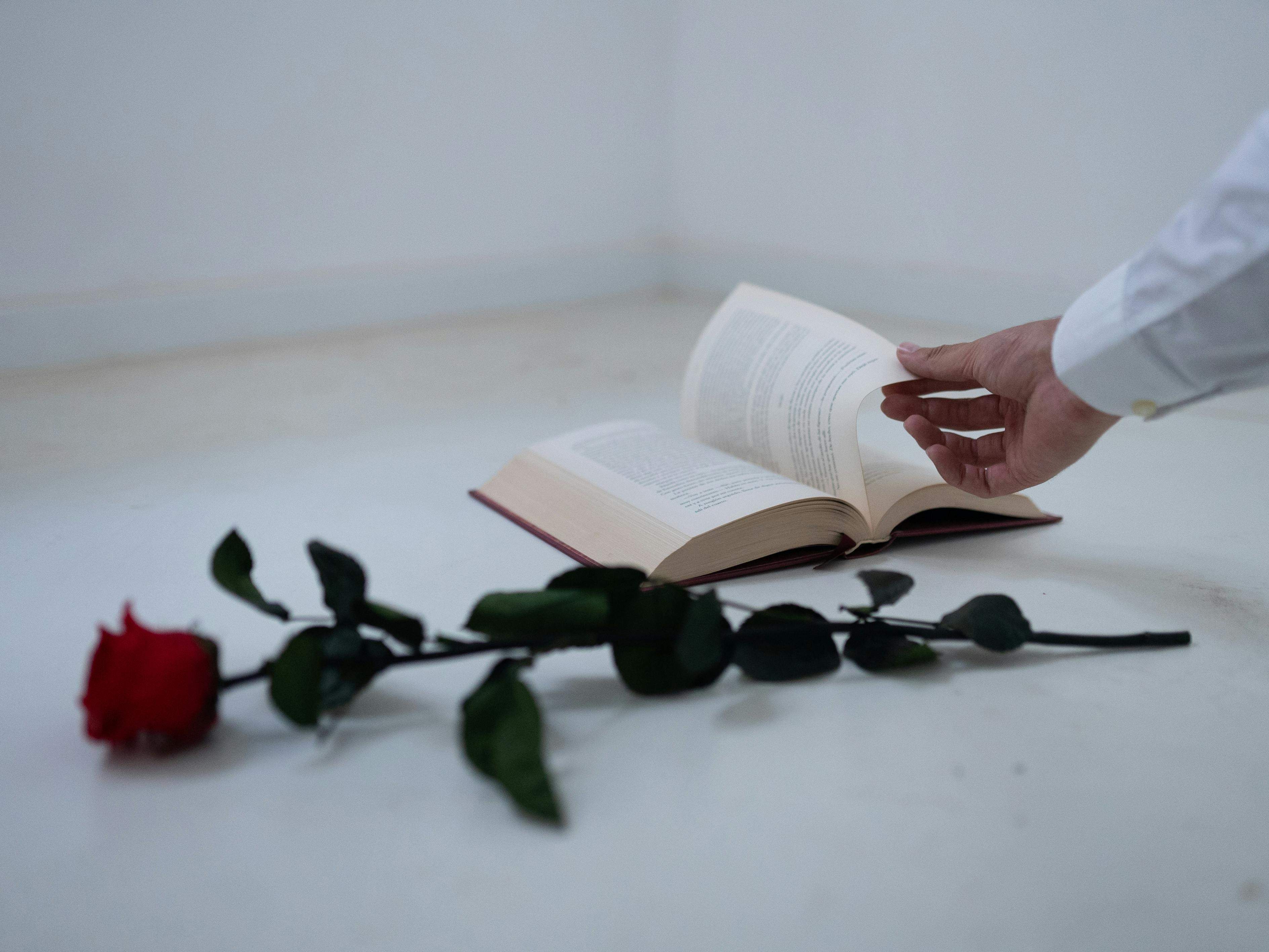 Es uno de los mejores panes de todo el país, pero solo se come en Catalunya el 23 de abril, por Sant Jordi