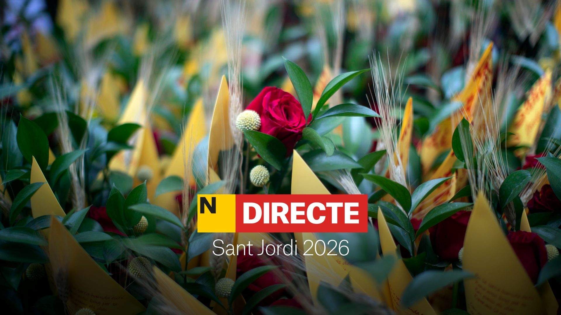 Sant Jordi 2026 a Barcelona i Catalunya, DIRECTE | Signatures, parades, llibres i molt més