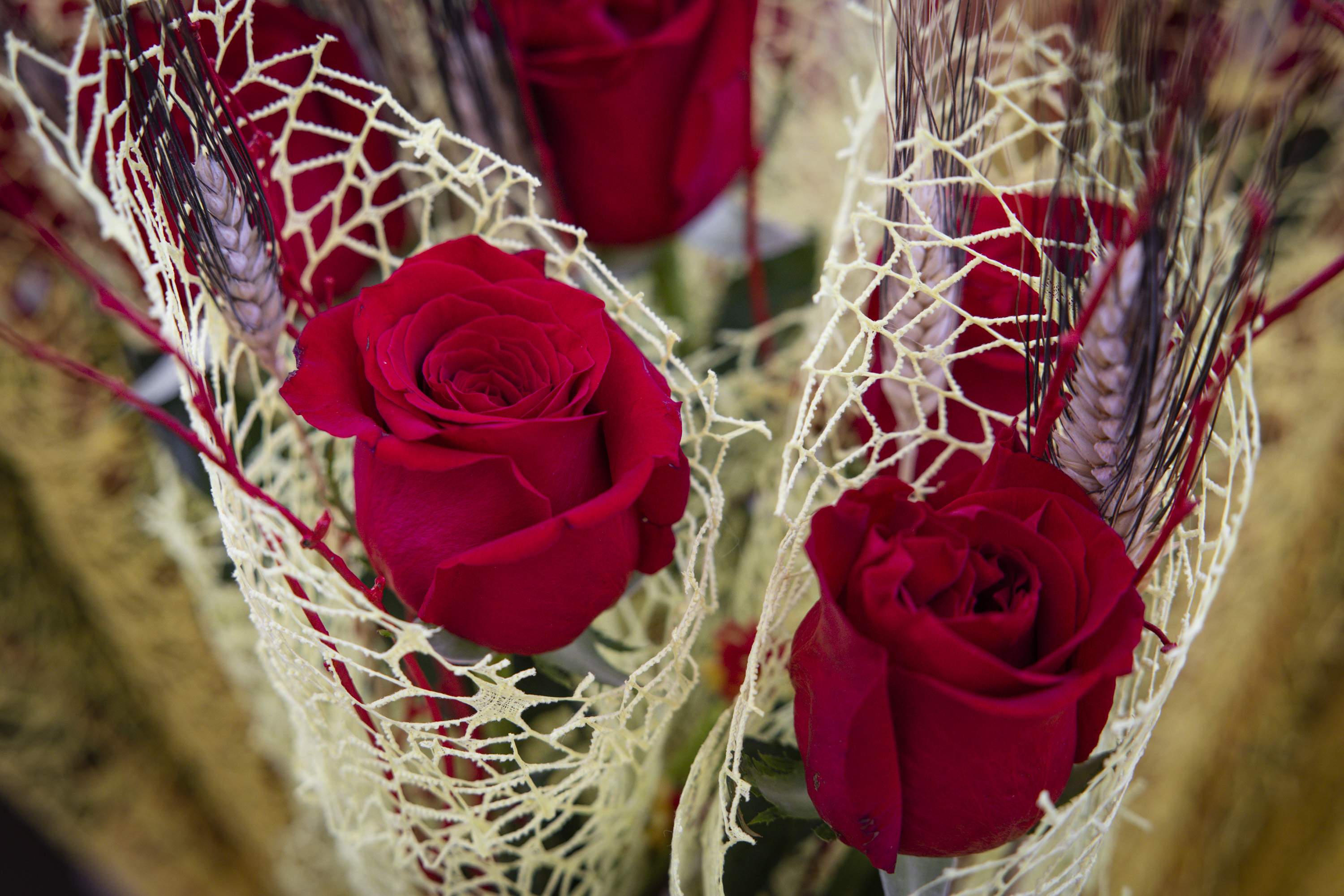 La "prioritat nacional" de la premsa catalana és Sant Jordi