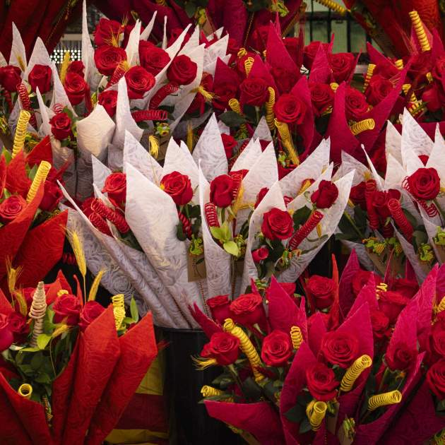 Sant Jordi 2026 / Foto: Carlos Baglietto