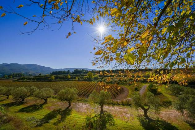 Vista de la finca d'Espiells. / Foto: Cedida