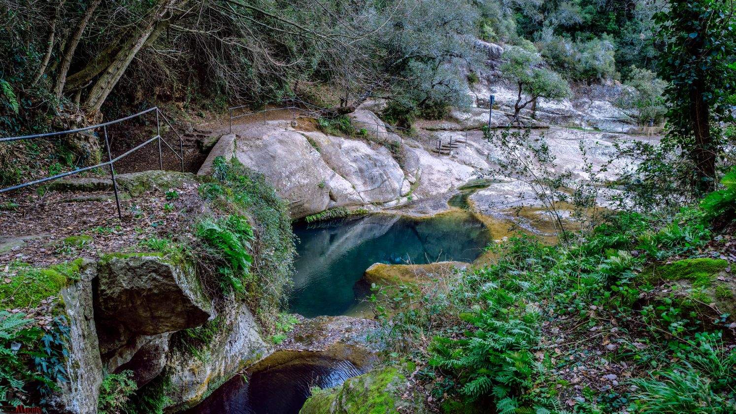 Les gorgues amagades a Catalunya que tenen origen volcànic: un racó natural idíl·lic