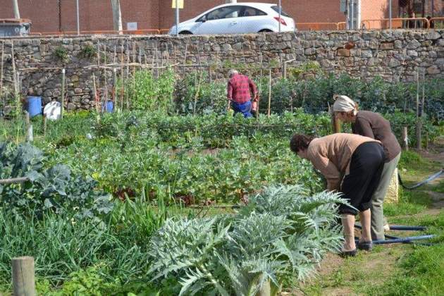 masia can mestre ajbcn 2