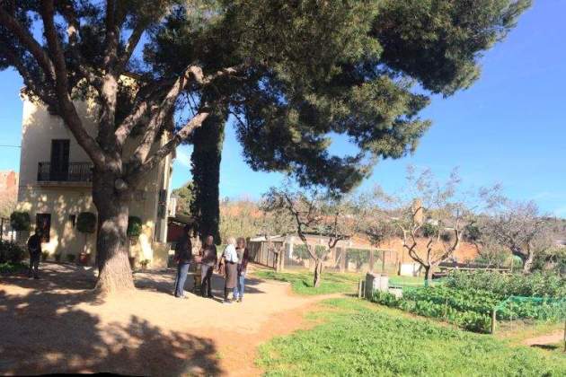 masia can mestre ajbcn