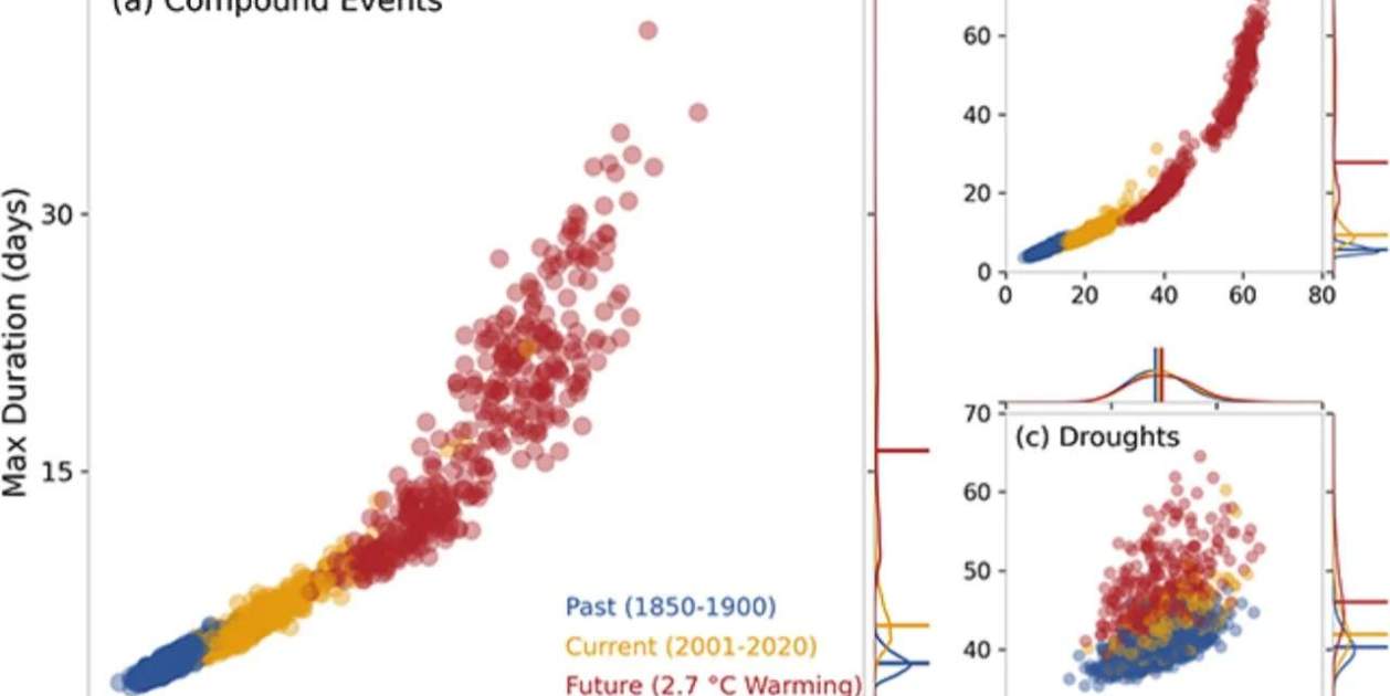 Gràfic que mostra la freqüència de futurs esdeveniments amb calor extrema i sequera simultanis.