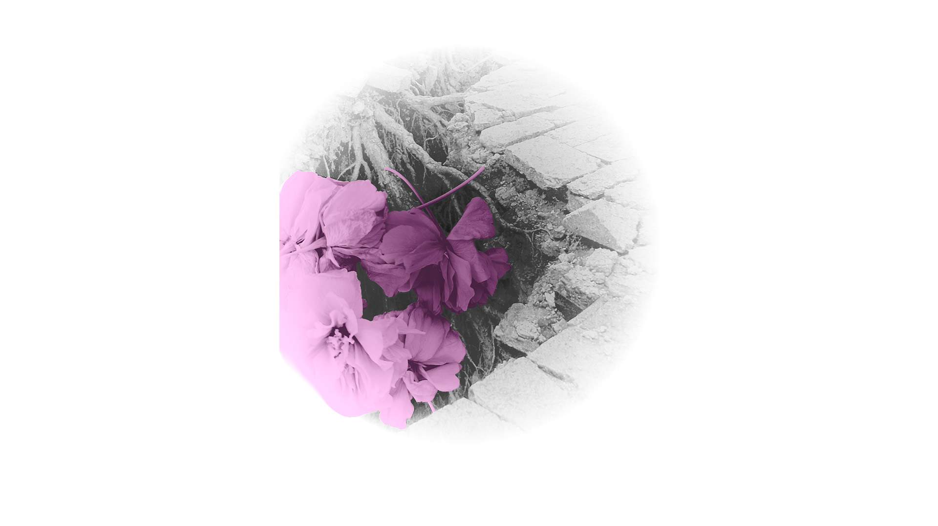 “Olot 2050: Tot això eren cases”, a cura de l’alumnat de primer de Batxillerat d’Arts de l’Escola d’Art d’Olot